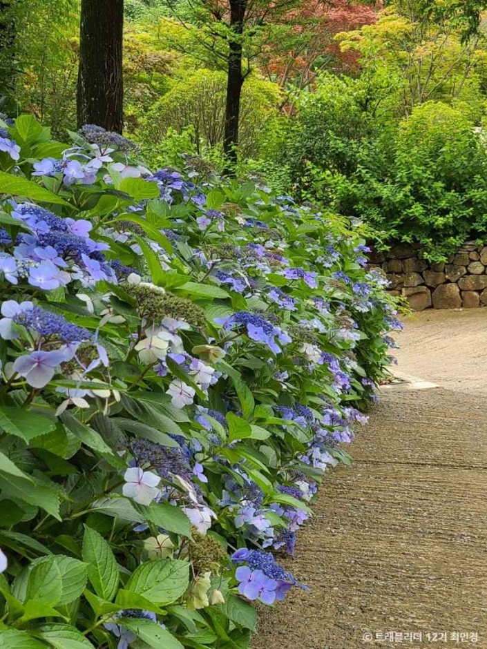 경남 고성 가볼만한곳 베스트10