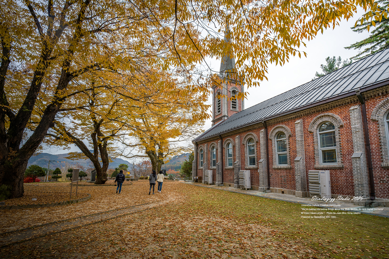 #원주 #가톨릭 #성당 #가을