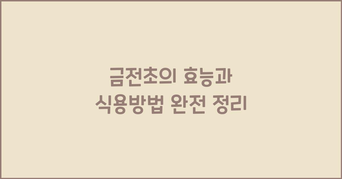 금전초