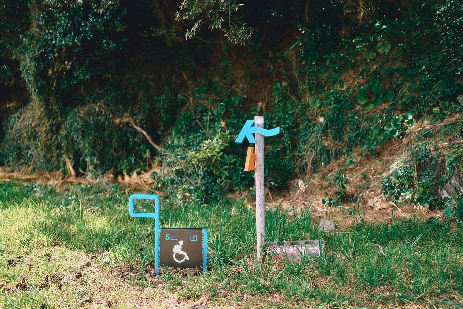 제주 올레길 5코스 추천: 남원포구에서 쇠소깍까지 힐링 여행