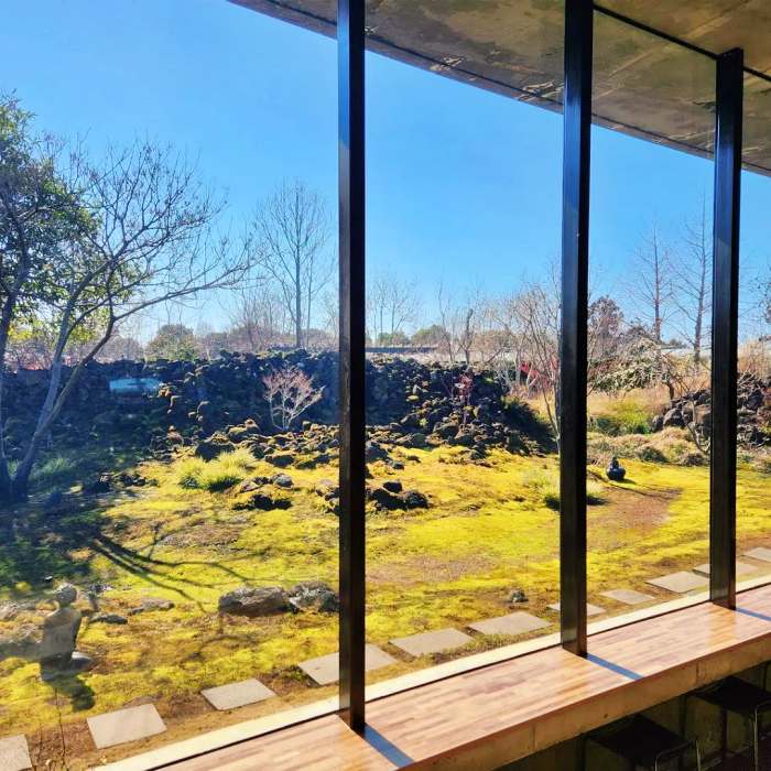 생방송 오늘 저녁 제주 쇠소깍 차콩 크림 라떼 맛집