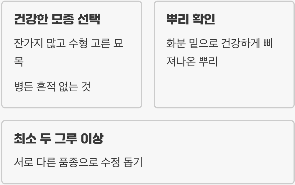 첫 단추가 중요해요, 튼튼한 모종 고르기