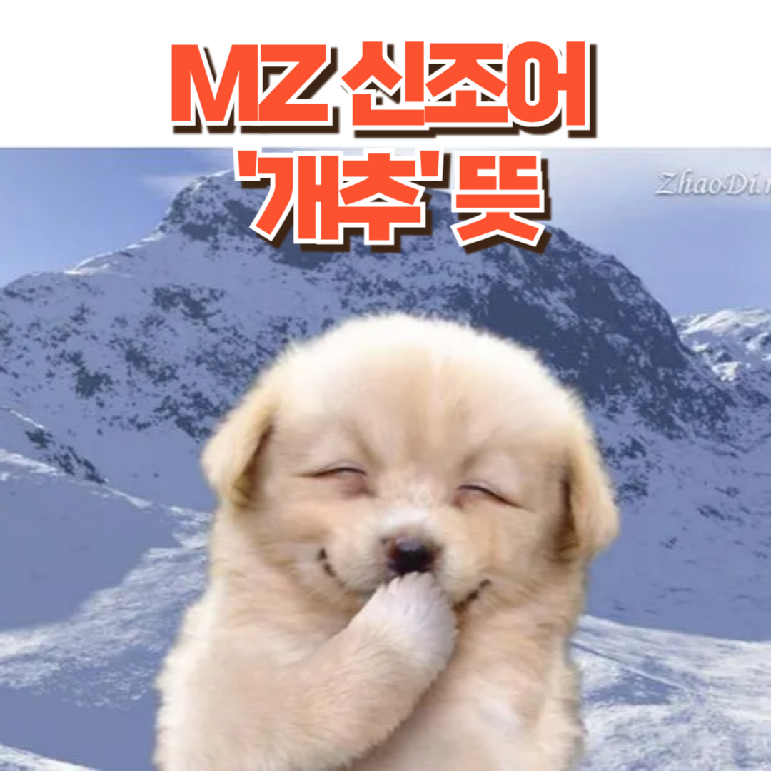 개추 뜻