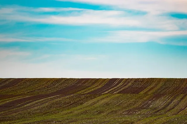 문자나라 바로가기 wwwmunjanaracokr 단축 접근법_4