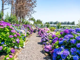제주도 가볼만한곳 10곳 여행지 모음_29