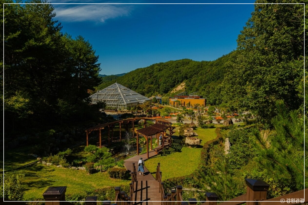 양구 가볼만한곳 베스트10 양구수목원