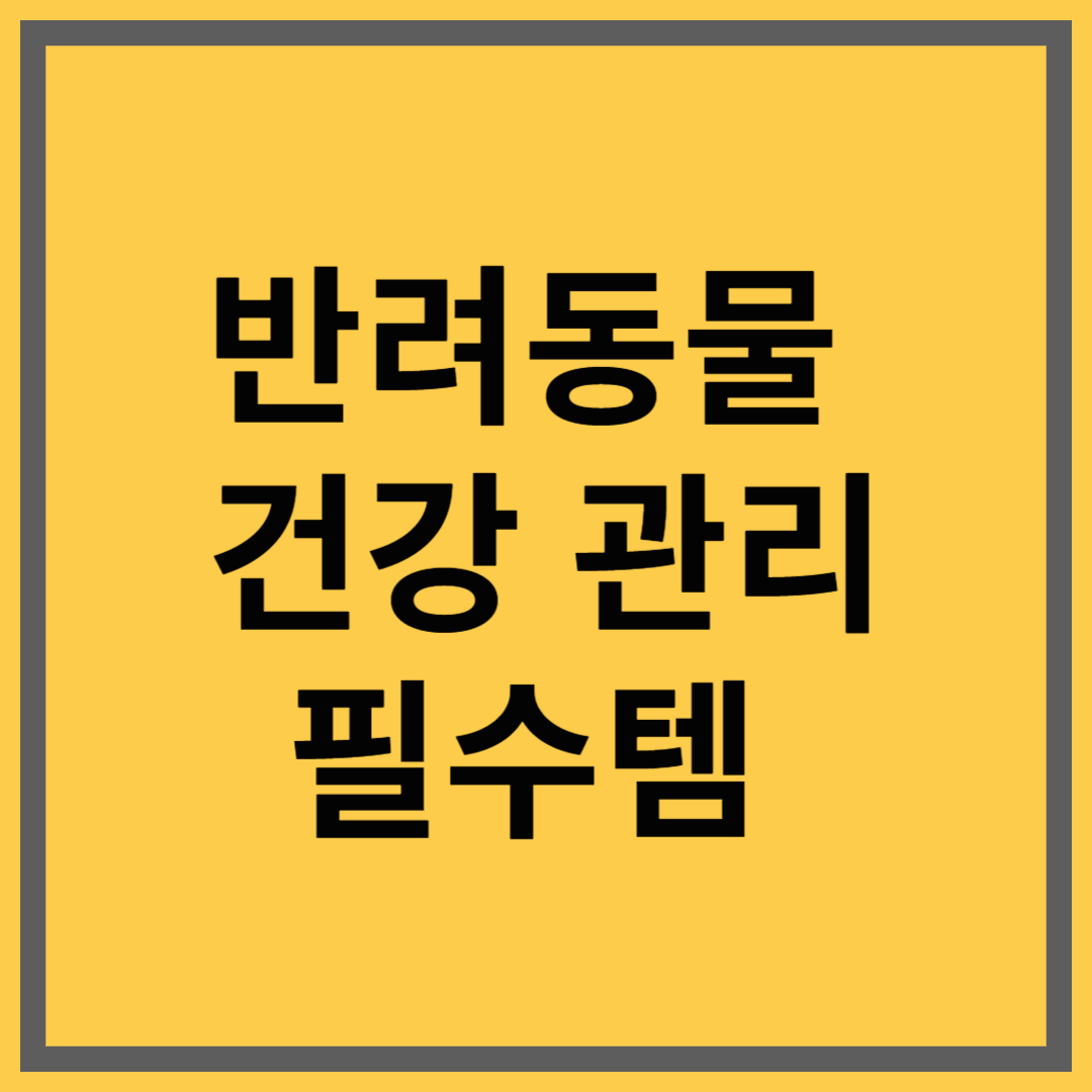 반려동물 건강 관리 필수템 3가지 추천