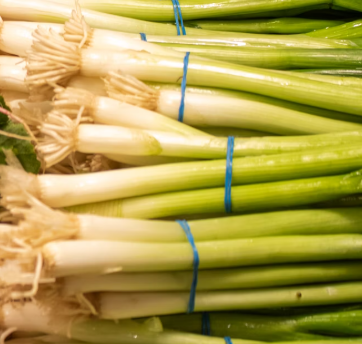 대파 효능과 부작용 고르는법