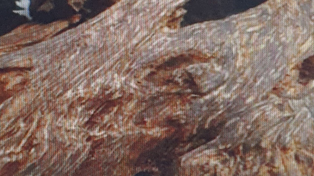 침향