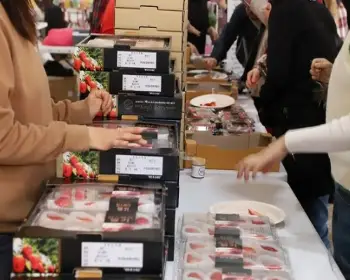 논산딸기축제_29