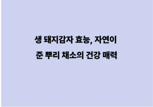 생 돼지감자 효능, 자연이 준 뿌리 채소의 건강 매력