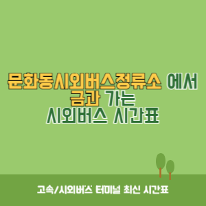 문화동시외버스정류소에서 금과 가는 시외버스 시간표 최신정보