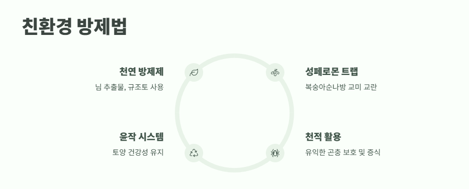 복숭아 나무 병충해 방제 완벽 정리 8