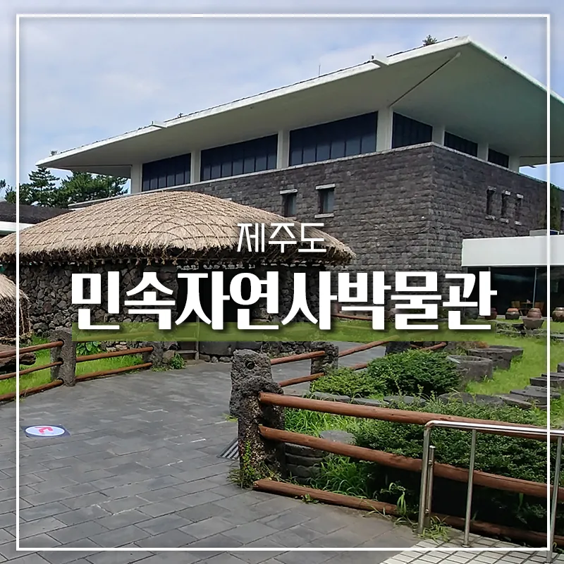 아이와 제주 여행 제주 민속 자연사박물관 예매 코스 가이드_7
