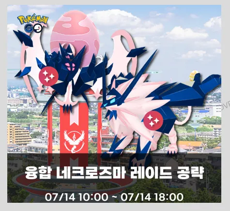 레이드 공략