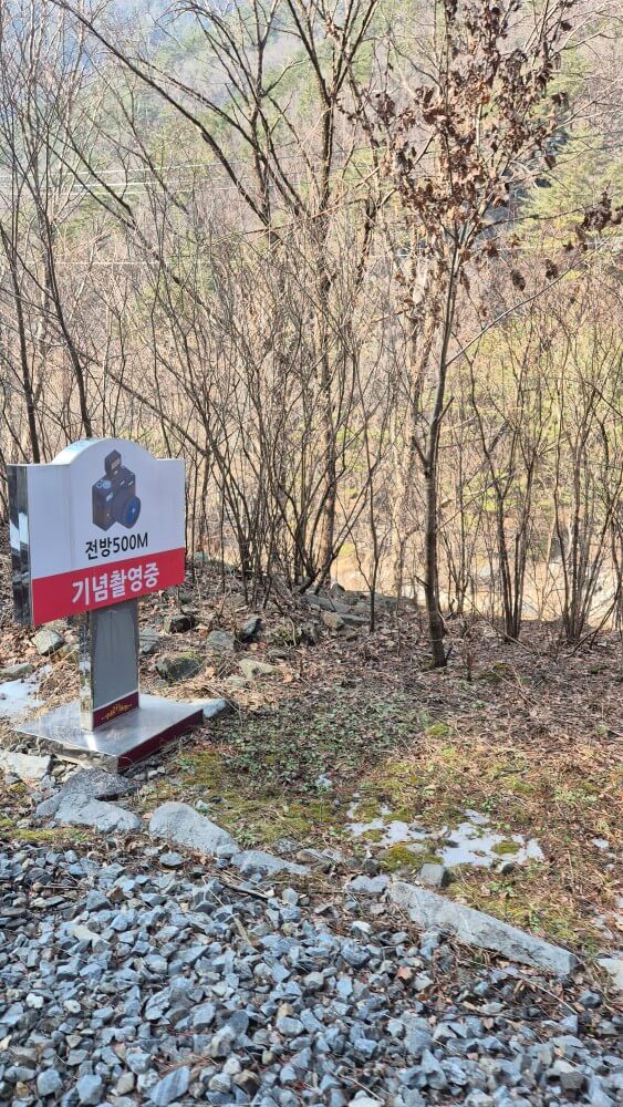 기념촬영