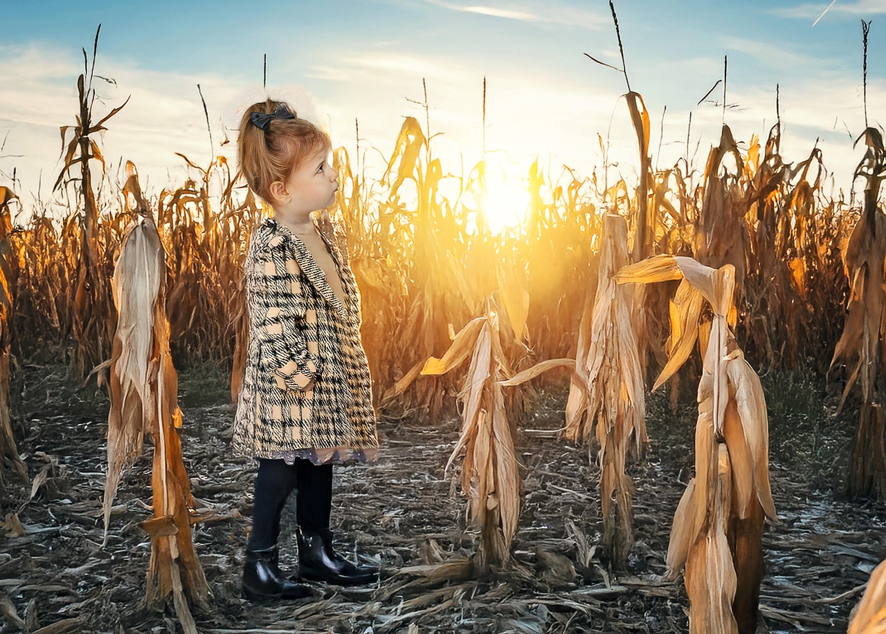 AI 기반 작물 모니터링 시스템의 원리와 적용 사례