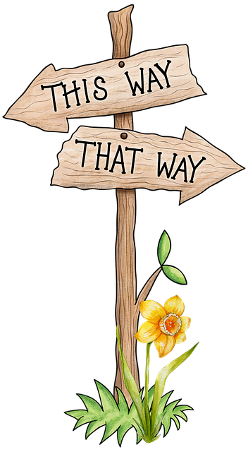 this way that way