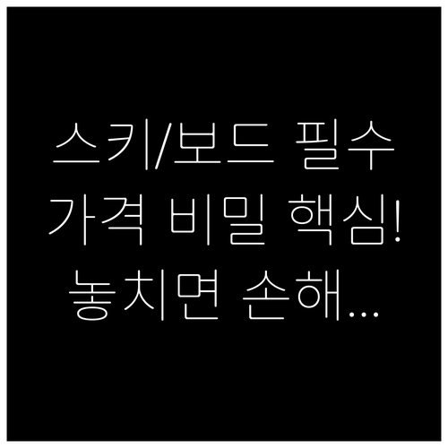스키 스노보드 렌탈 가격 결정 3대 ..