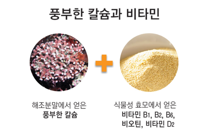 서울대 밥스누 서목태약콩콩물 효능