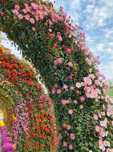 [충남 논산]사계절 내내 머물고 싶은 곳, 피나클랜드 수목원 이야기