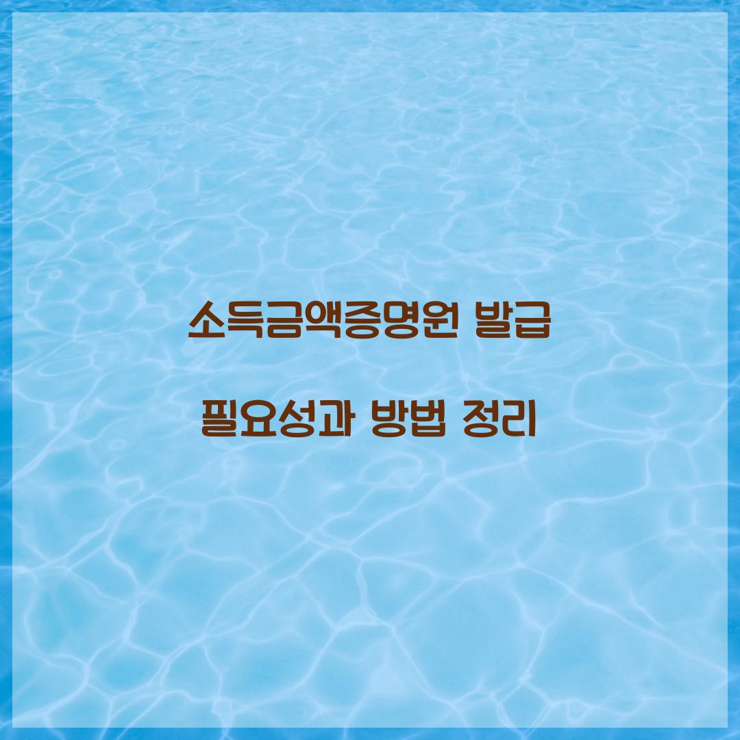 소득금액증명원 발급