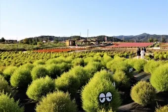 철원 가볼만한곳 베스트10 명소 소개_6