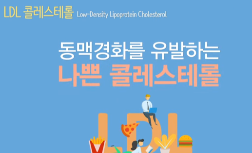 나쁜 콜레스테롤(LDL)