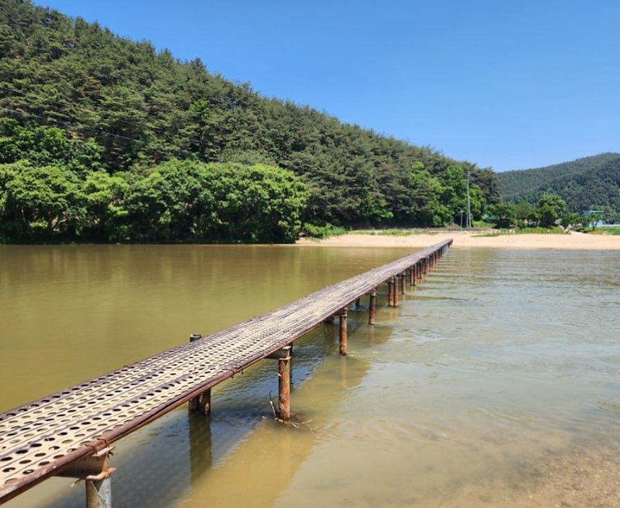 생생정보-회룡포-민박-식당-뿅뿅다리