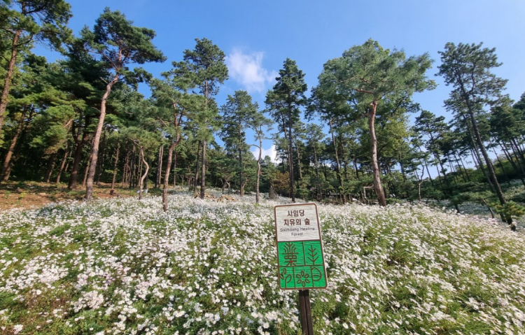 파주 율곡수목원