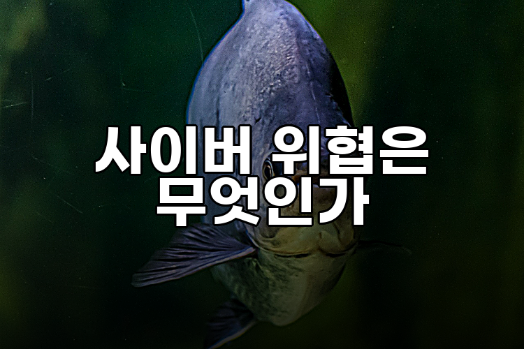 사이버 위협은 무엇인가