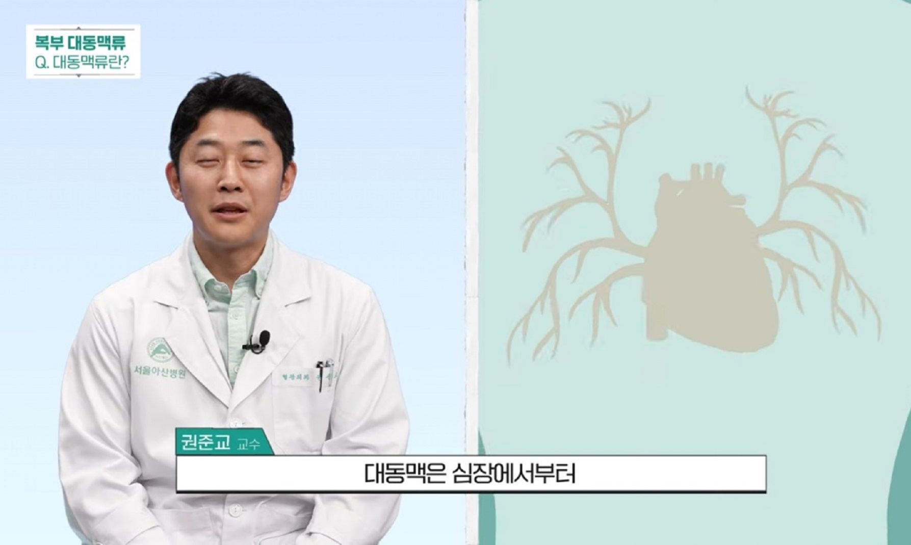 -복부대동맥-강진모-교수