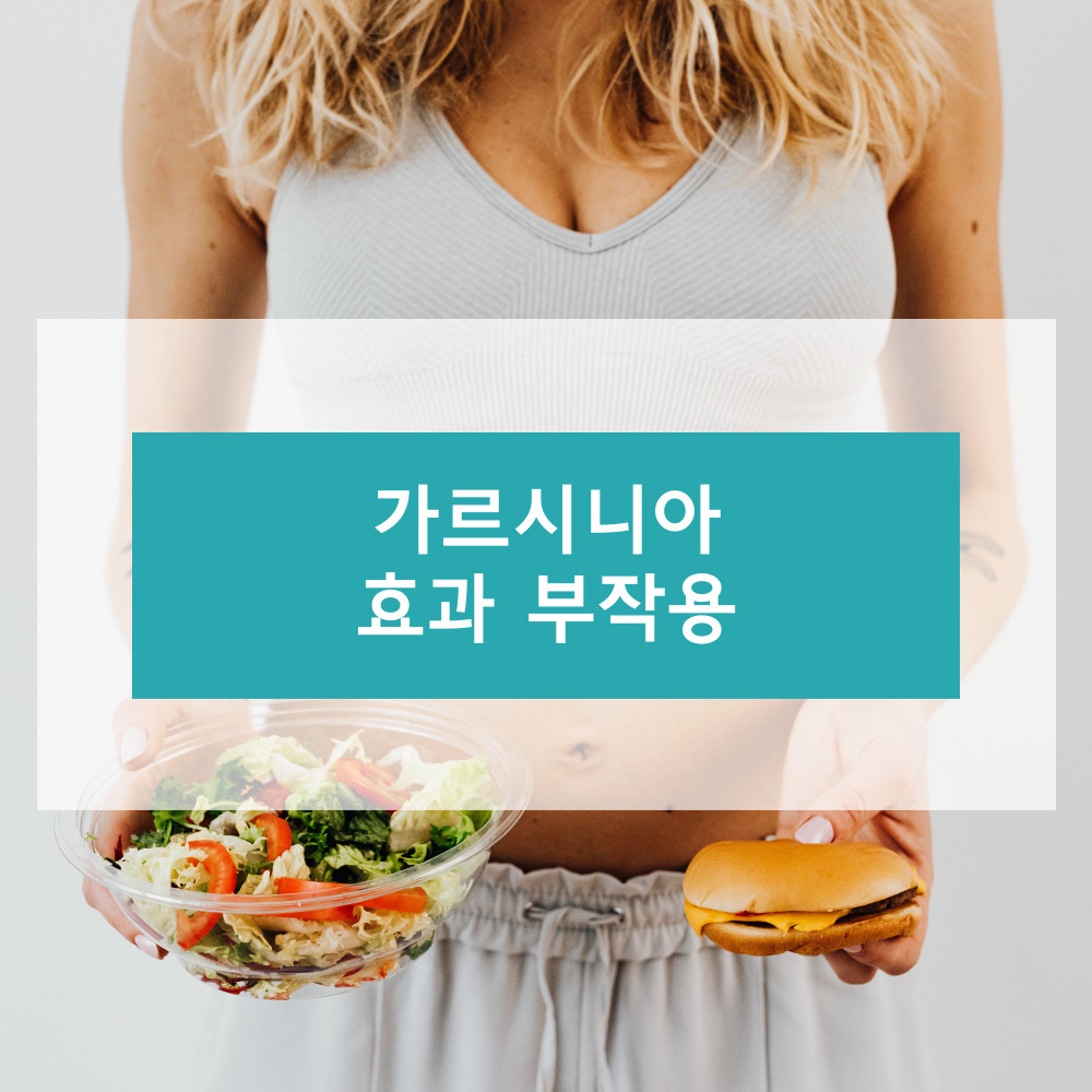 가르시니아에 대하여