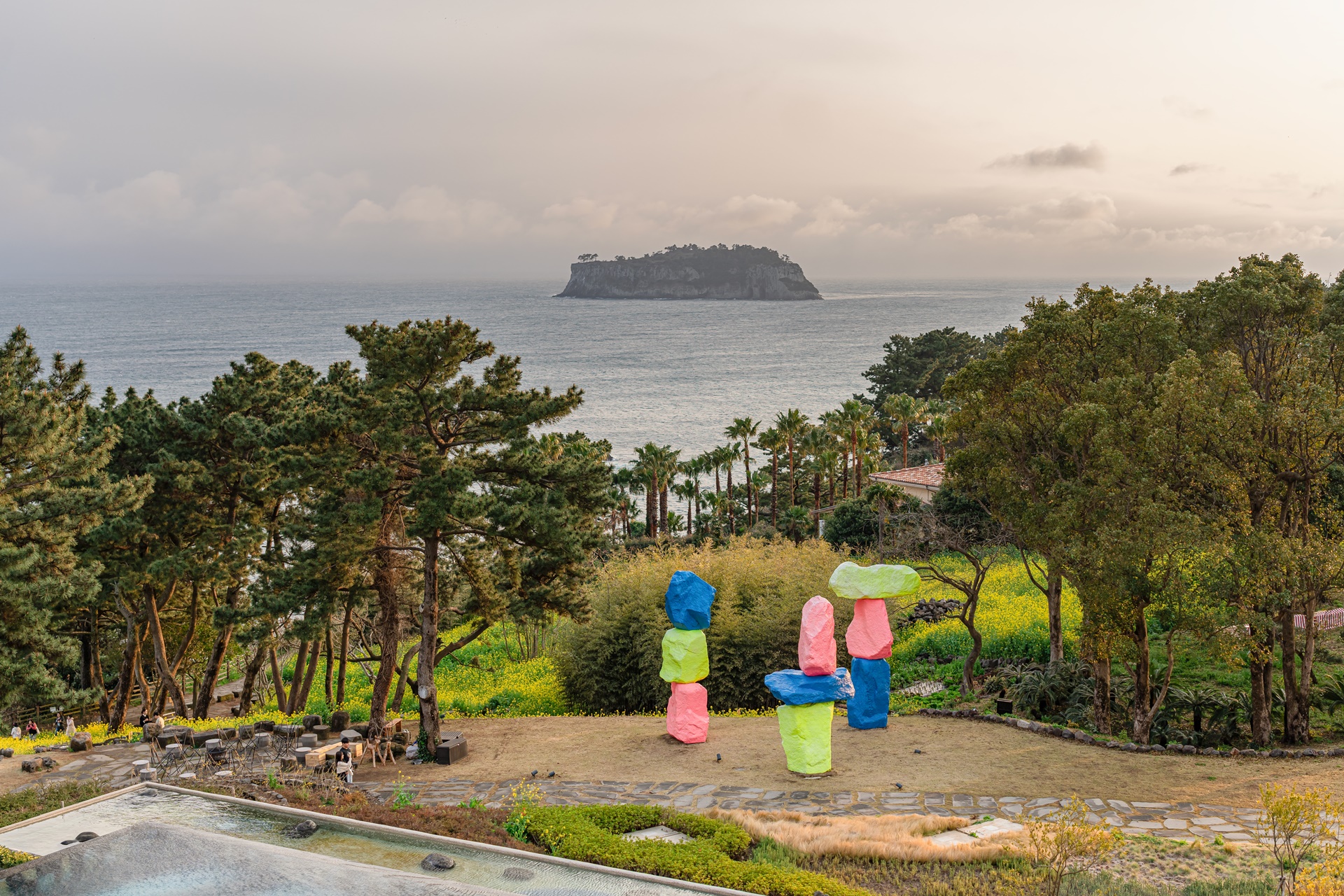 #JW가든 #JW메리어트제주 #댄싱두루미 #더플라잉호그 #아일랜드키친 #유채꽃 #제주사진 #제주여행 #제주유채꽃 #제주호텔