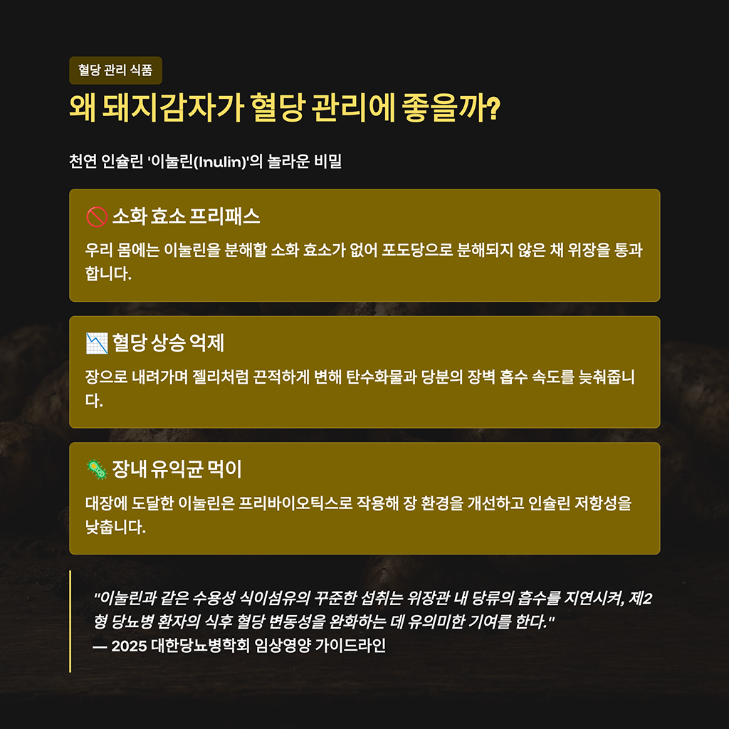 왜 돼지감자가 혈당 관리에 좋을까? 천연 인슐린 '이눌린'