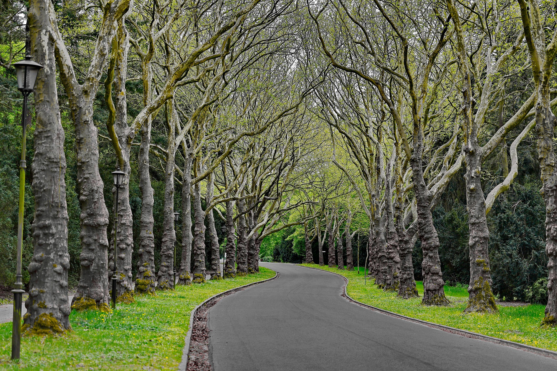 NMN 효능, 노화 속도를 늦추는 핵심 성분인가? 직접 느낀 변화까지 정리