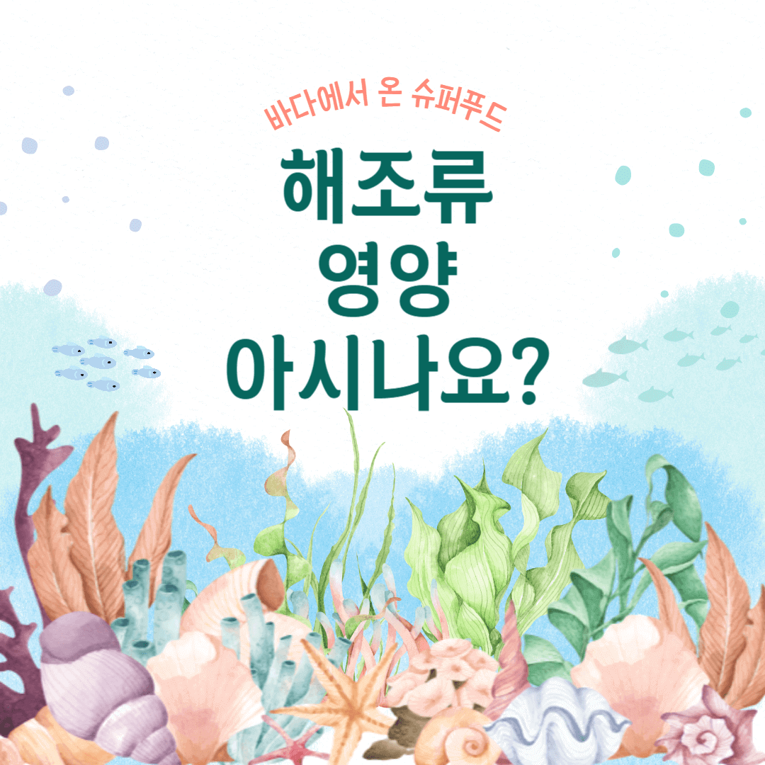 해조류 영양