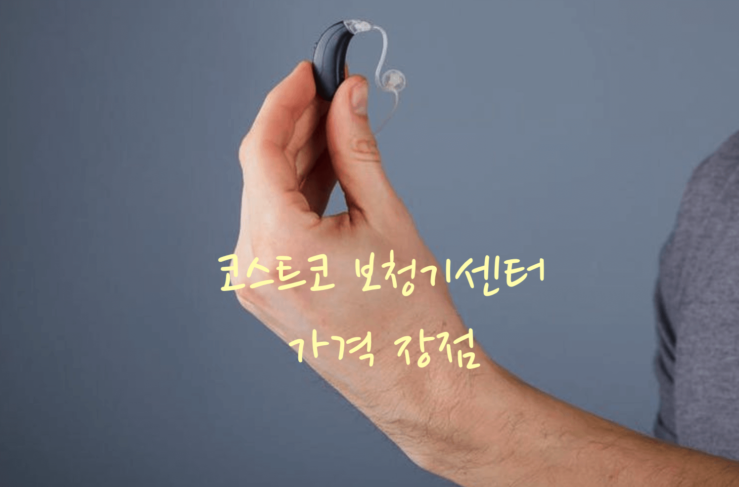 코스트코 보청기