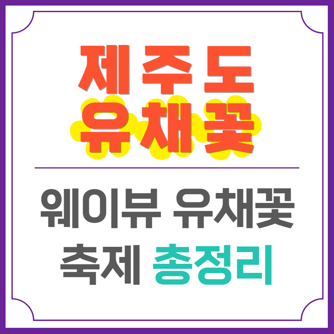 제주도 유채꽃 웨이뷰 축제