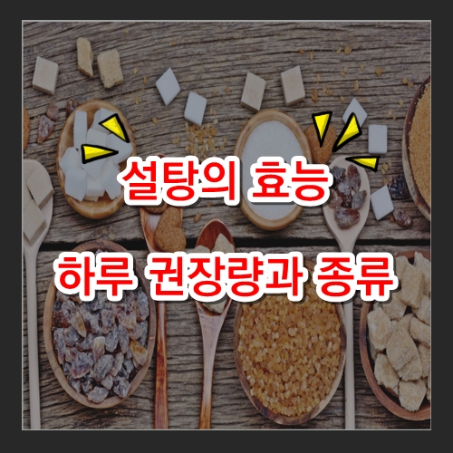 설탕이란? 설탕의 종류? 설탕의 효능?