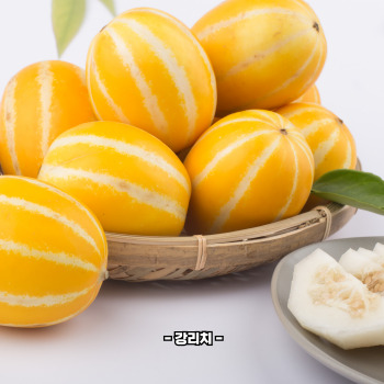 참외껍질 음식물쓰레기 인가요