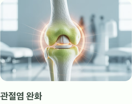 '염증'을 다스리는 조용한 해결사