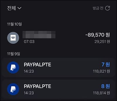 페이팔 입금 내역