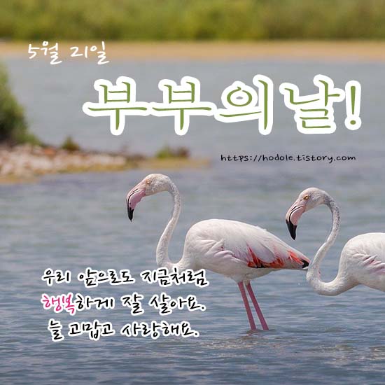 고맙고-사랑해요