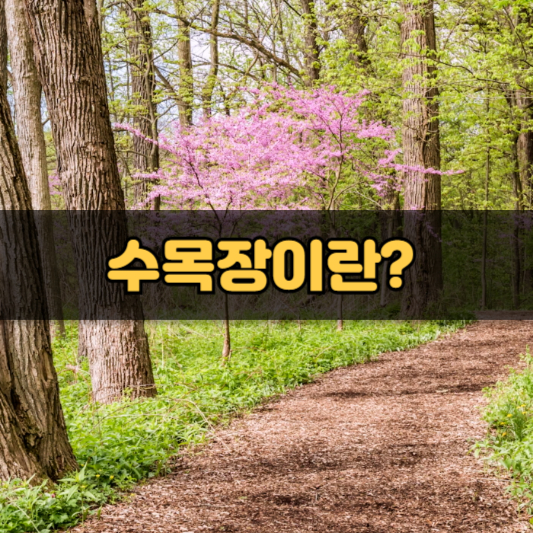 장례절차와 삼우제 수목장과 장례 비용에 대한 종합 가이드