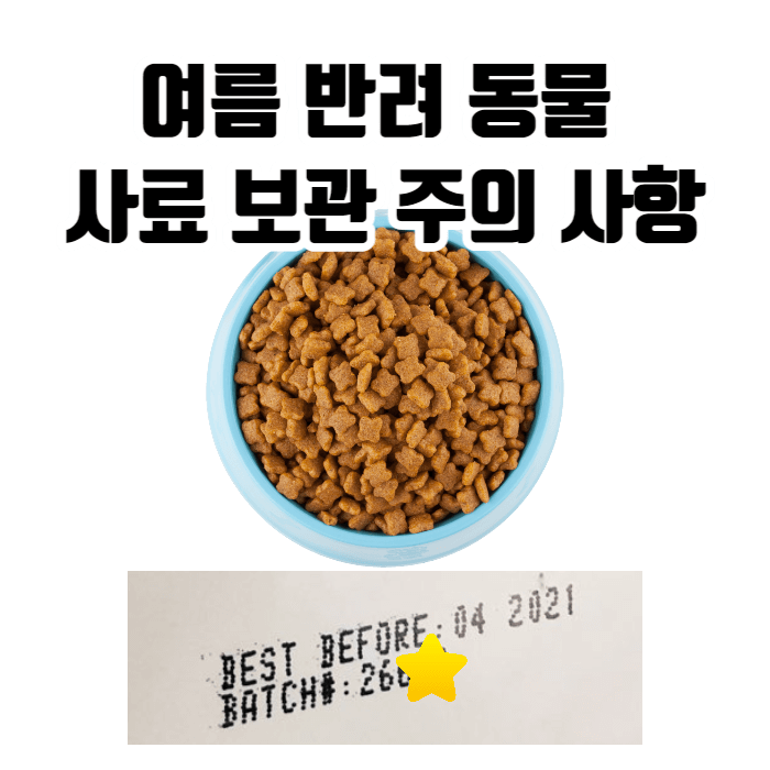 반려 동물 사료 보관 방법