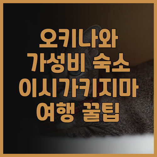 오키나와 엑시즈 이시가키지마, 가성비