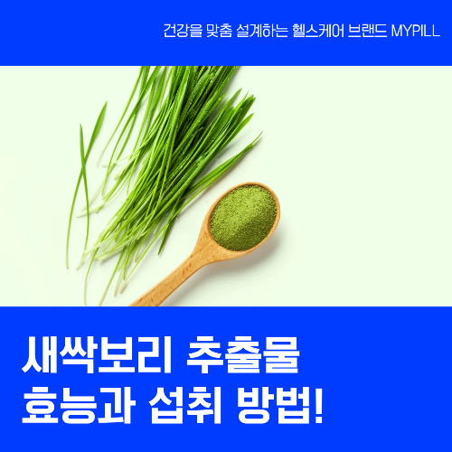 새싹보리추출물 효능과 섭취방법