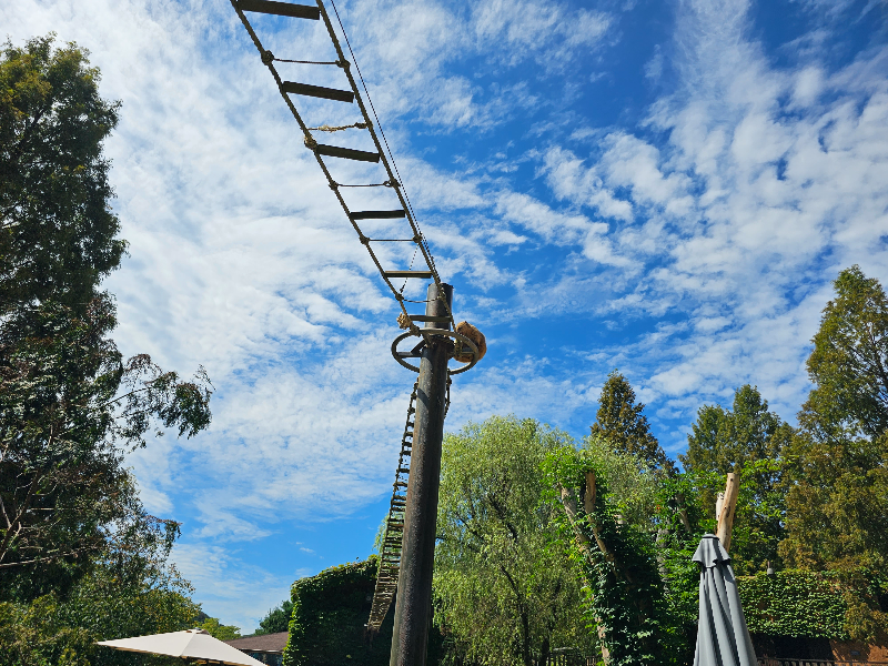 하늘에 뭔가있다