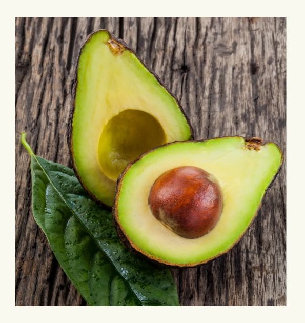 아보카도 효능 부작용